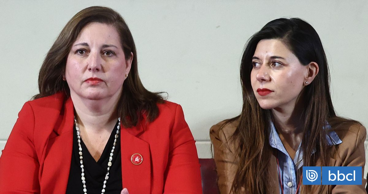 Vodanovic responds to Cicardini, denounces damage to PS and scale of tension for megareformation