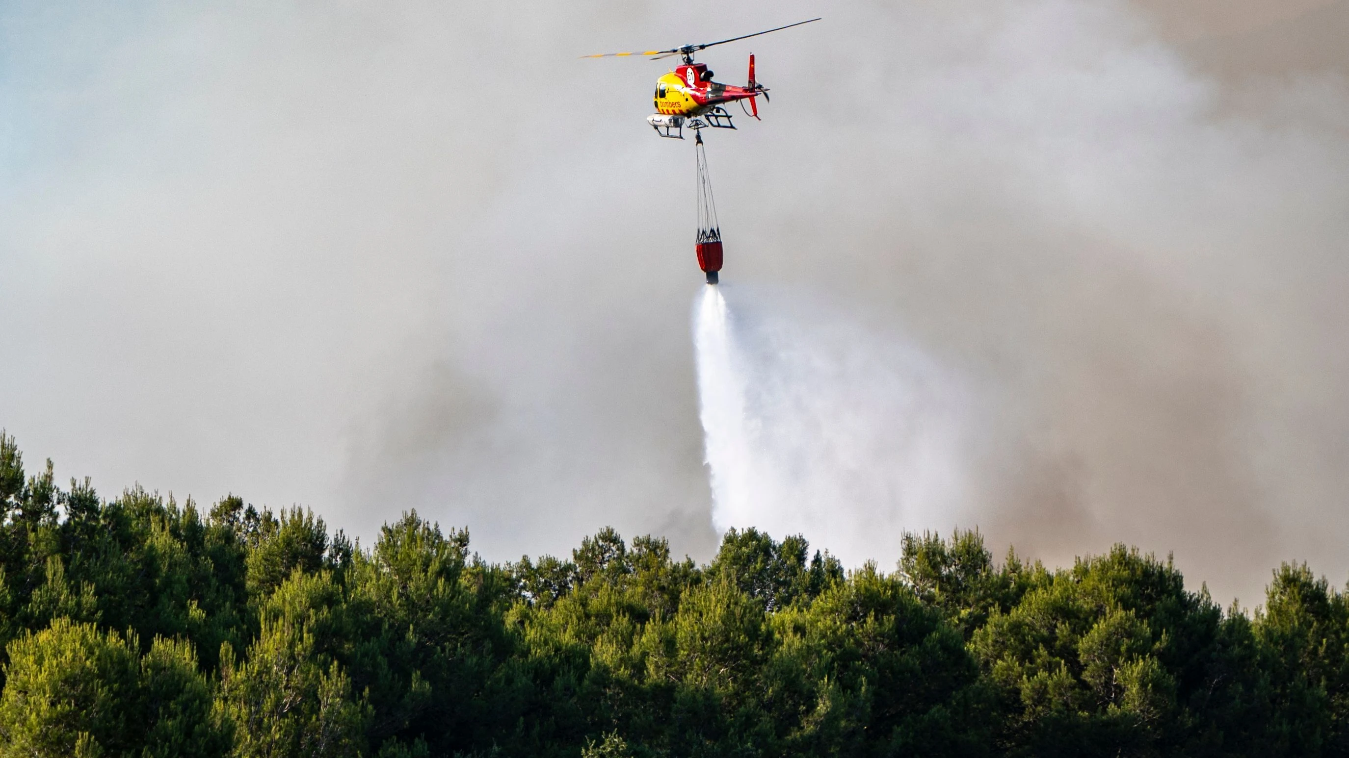 Southern Spain: Twelve killed in forest fire in Andalusia