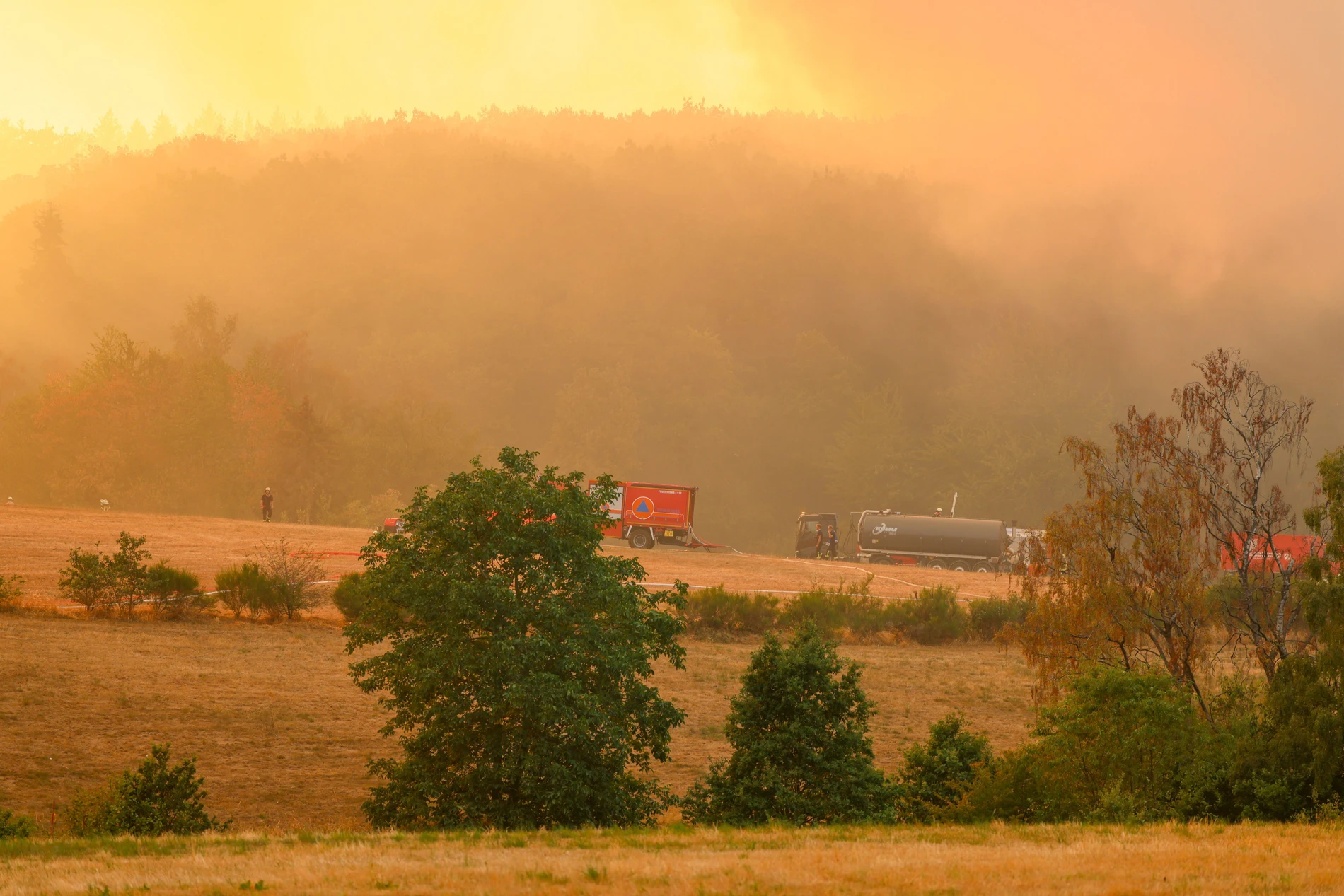 La Bundeswehr aide: Le plus grand incendie de forêt en NRW: les travaux d'extinction dans l'Eifel continuent