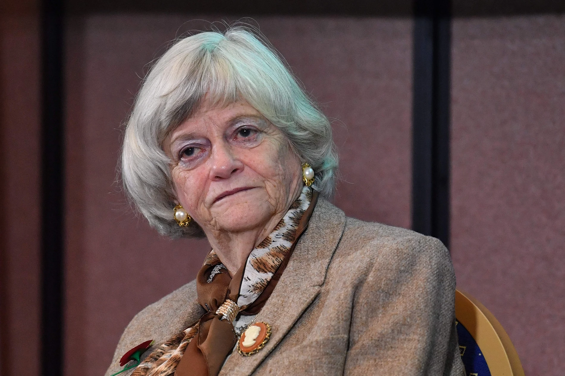 Ann Widdecombe: Death of Brexit politician – police arrest man