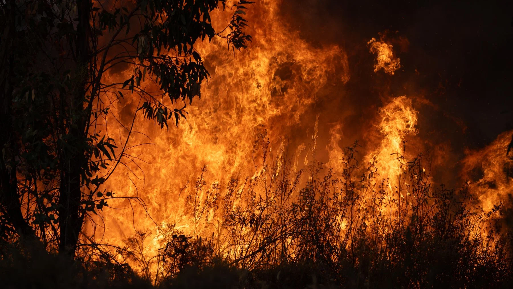 El incendio de Niebla Huelva supera ya las 20.000 hectáreas afectadas