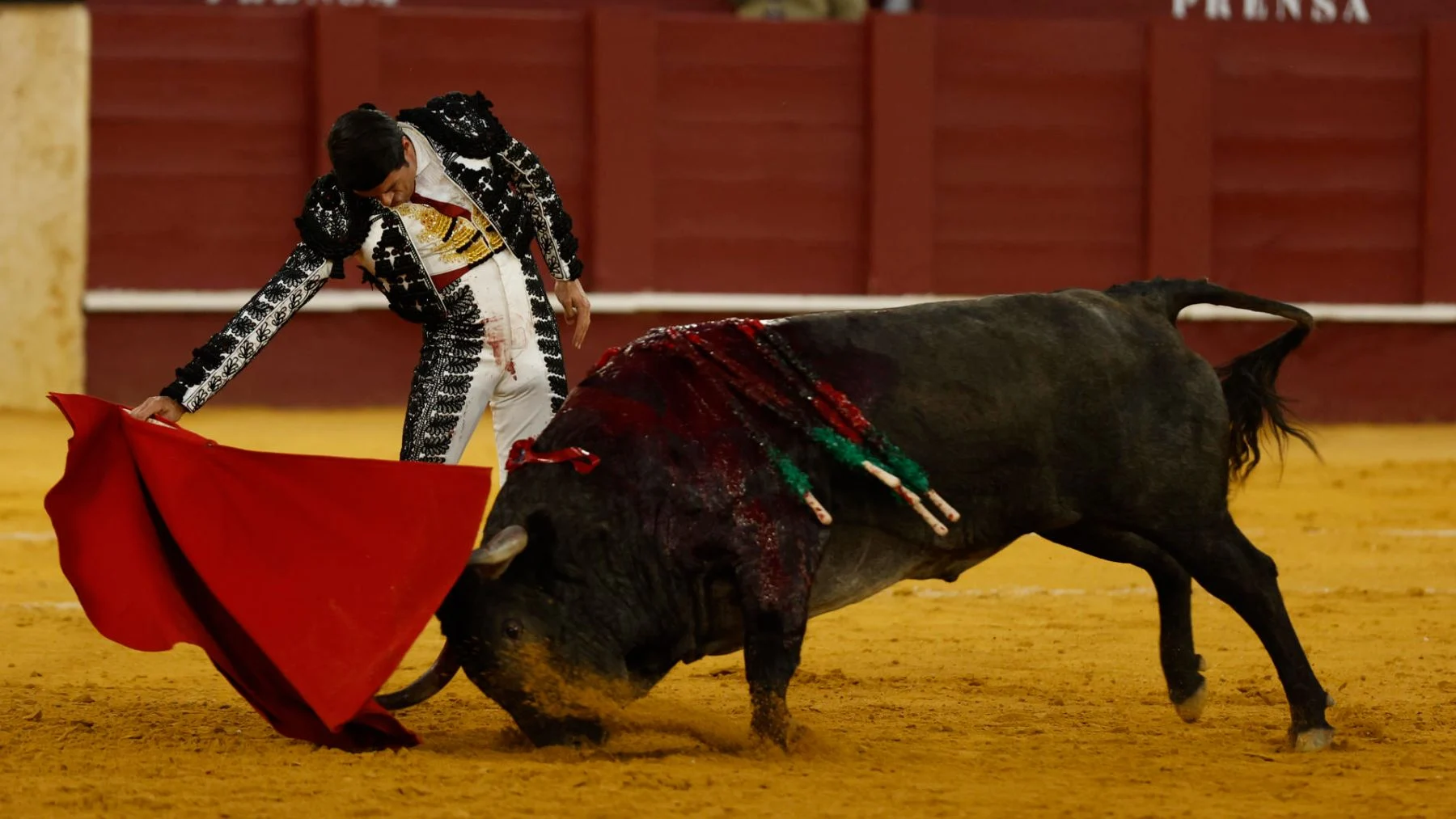 Retour apothéotique et émotionnel de Victorino à Malaga