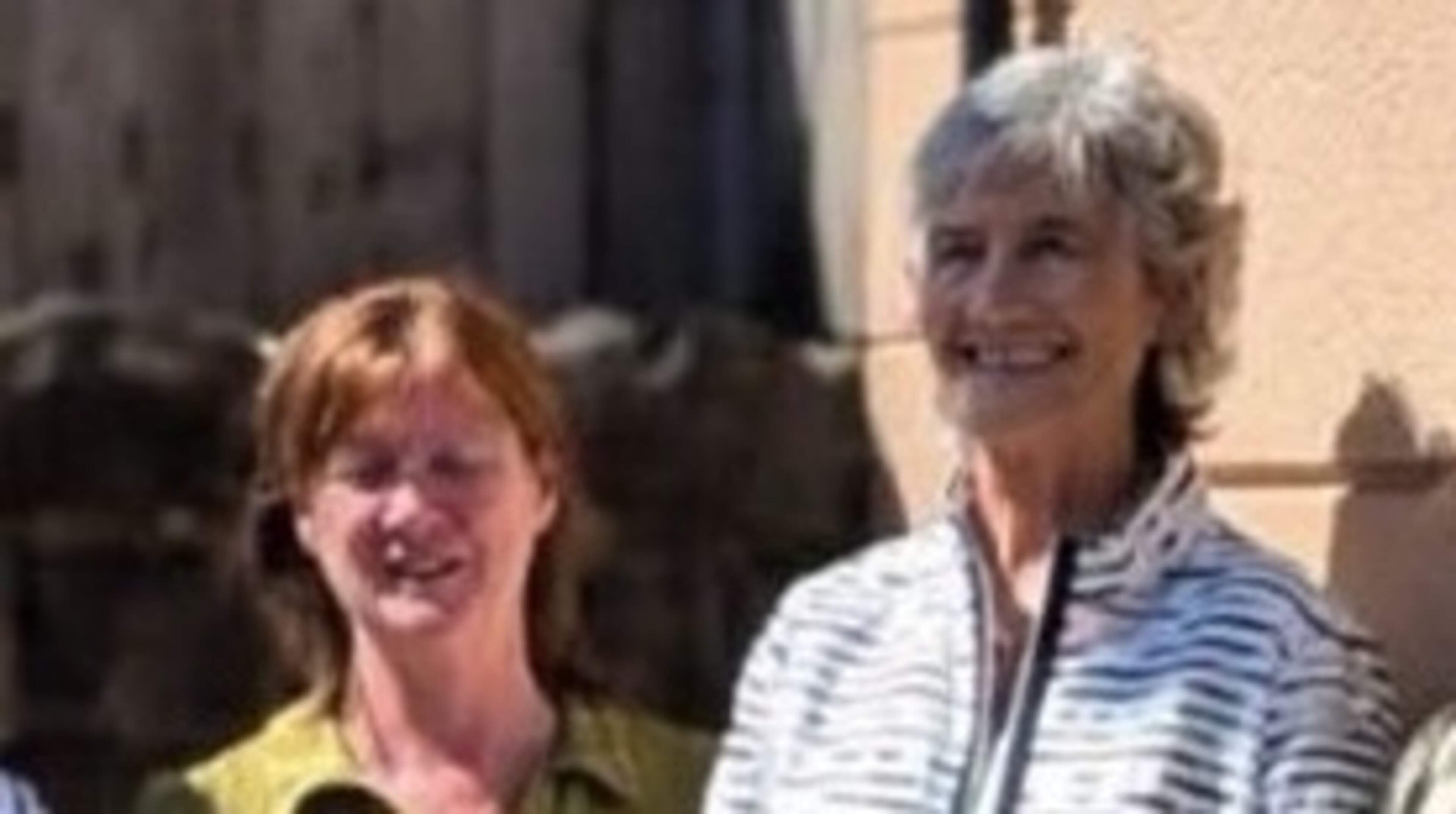 Le bureau du président irlandais pour « traiter les questions directement » avec la sœur de la victime au milieu de la photo avec le tueur de l'IRA