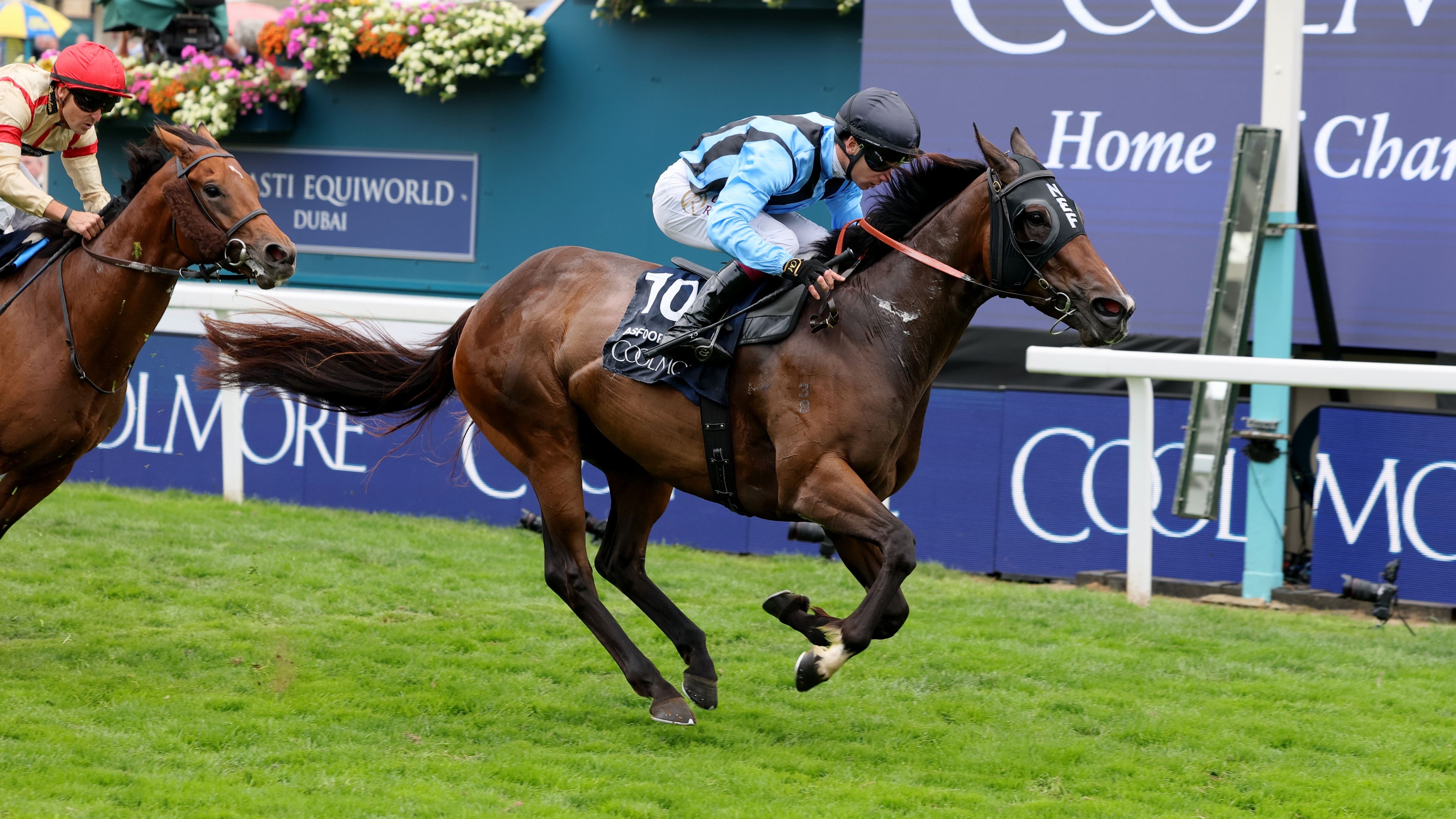 Dwyer keen to give Asfoora ‘one last hurrah’ before retirement
