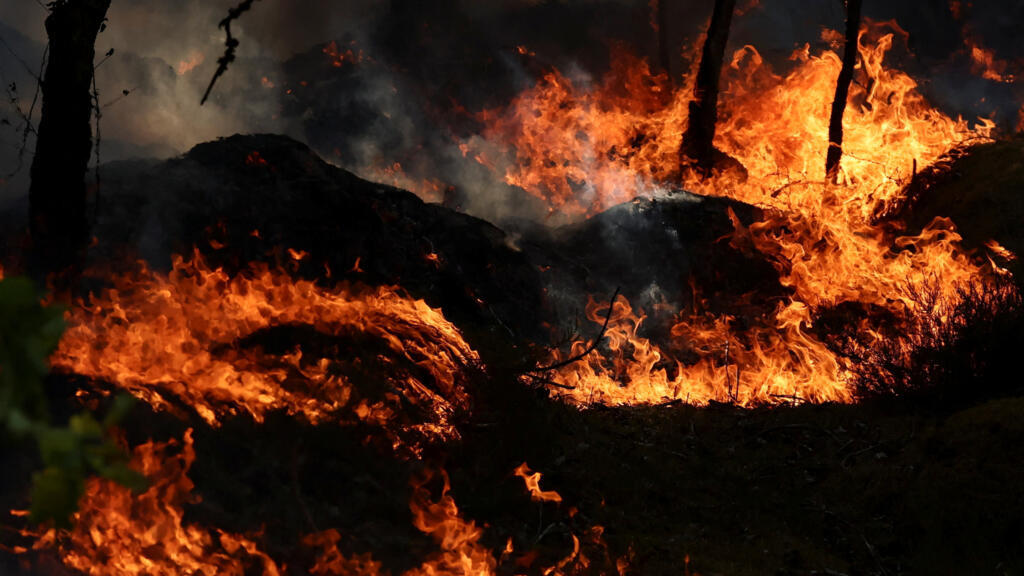 Fires: 59 arrests in France, including two for the forest of Fontainebleau