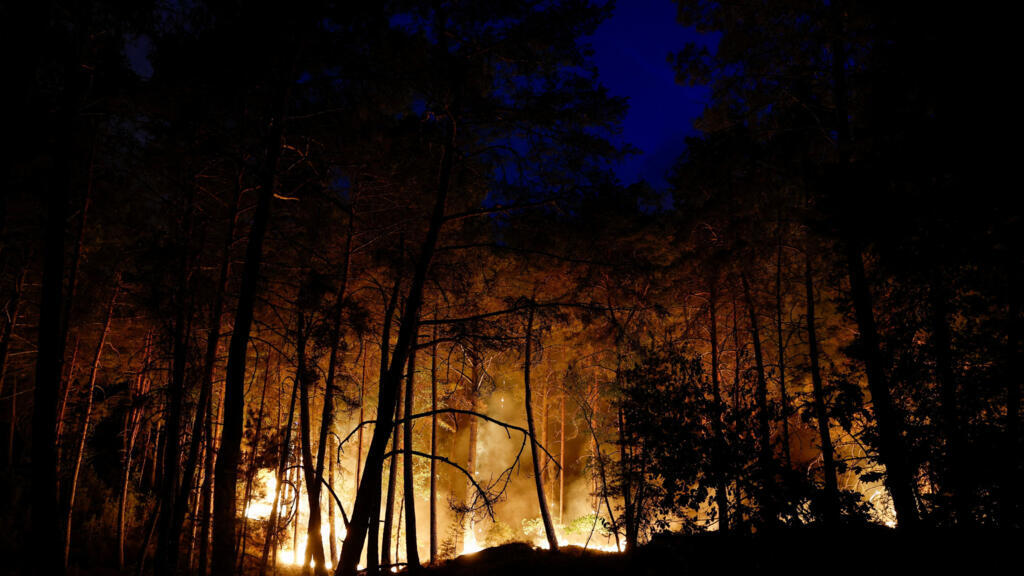 France: the forest of Fontainebleau facing a fire of "exceptional magnitude"