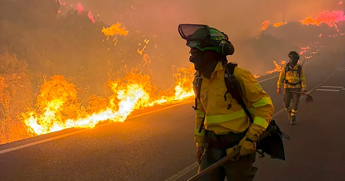 The victims were found on the road to Bédar while trying to escape the flames