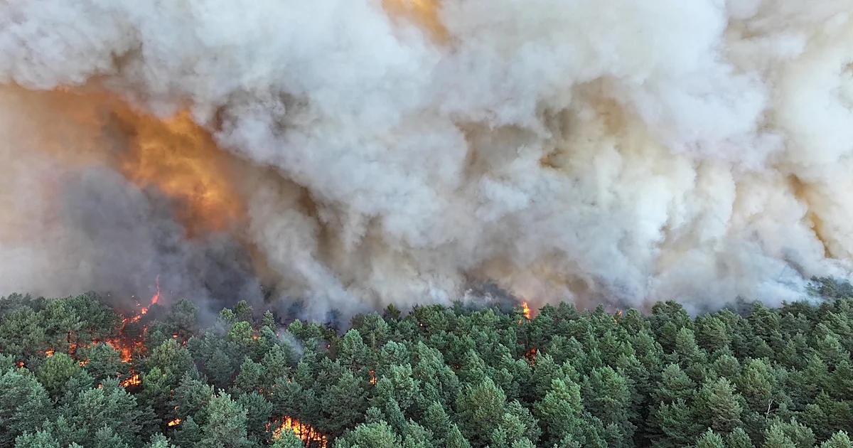 Fire, called "unprecedented," affects access to the capital and anticipates a complicated fire season