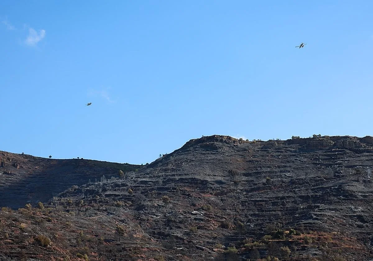 Le feu de Calderona, stabilisé après avoir brûlé plus de 630 hectares