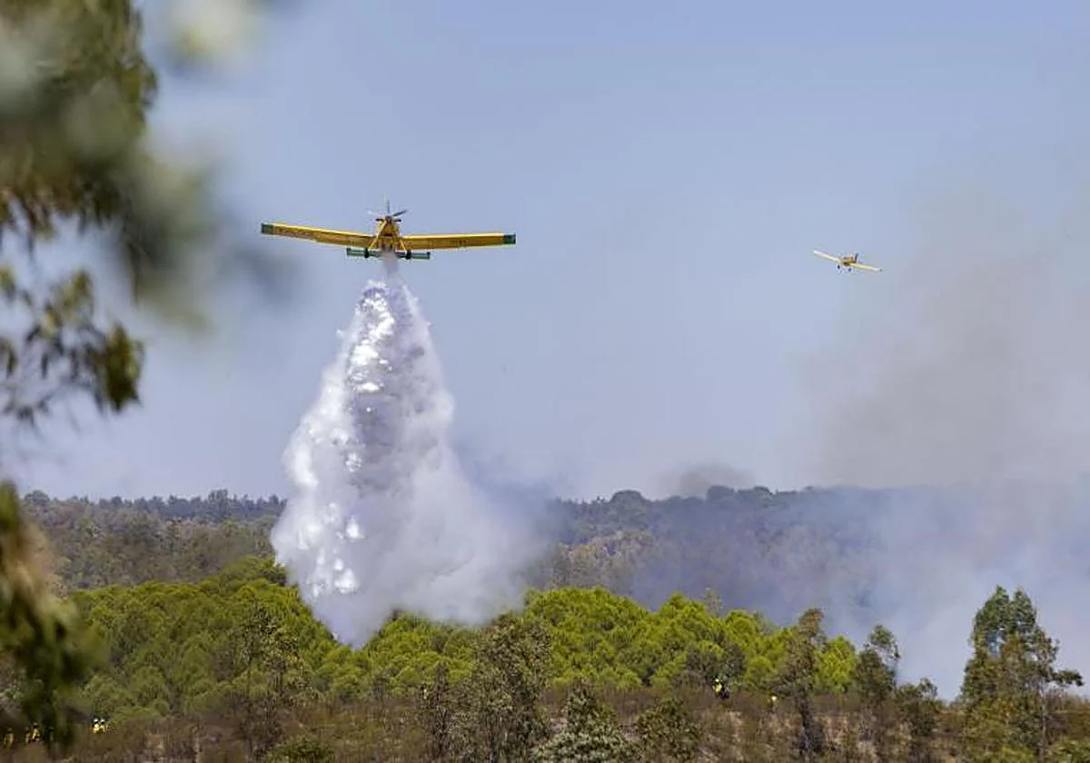 The fire of Fog is over 4,000 hectares in the face of wind difficulty