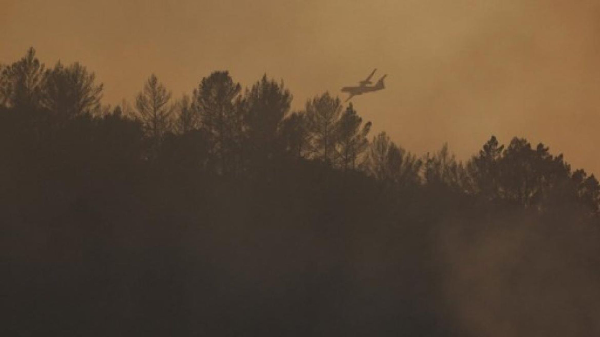 Feux de forêt en France : le feu du Gros Bessillon, dans le Var, fixé après 18 jours de mobilisation