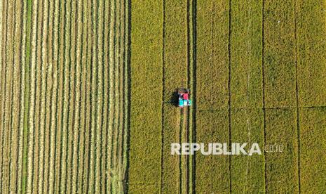 The figure marks a 0.11 percent increase compared to the same period in the previous year