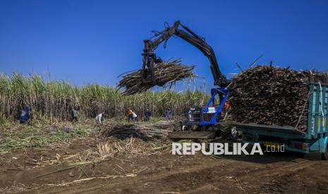 Tebu de Malang se procesa para obtener bioetanol, fortaleciendo la industria y la seguridad energética