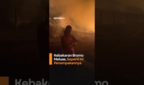 Mount Bromo Fire Spreads: This Is What It Looks Like
