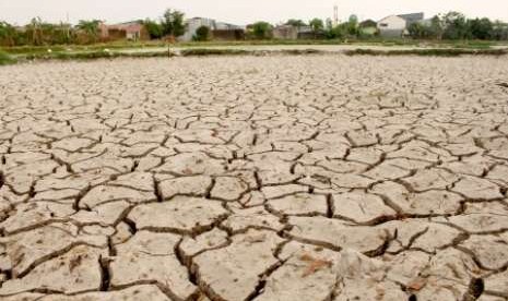 Drought Occurs in 7 Districts and Cities in West Java, Residents Struggle for Clean Water