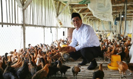 Government Threatens to Revoke Licenses of Feed and Egg Price Manipulators