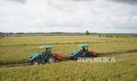 Bapanas ensures rice IPH remains under control with stock of 5.2 million tons