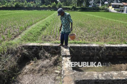 Les agriculteurs comptent sur les pompes à eau et les réservoirs d'eau pour faire face à la menace de sécheresse