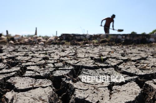 Demanding Government Promises, Hundreds of Indramayu Farmers Walk to Jakarta