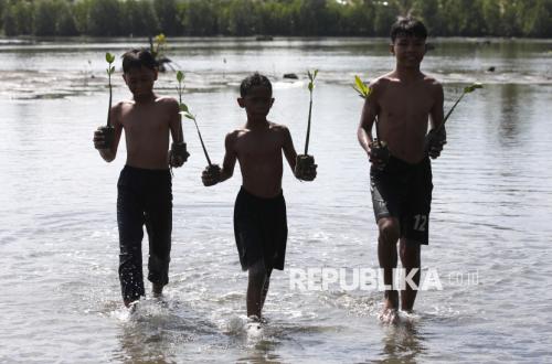 Mangrove Rehabilitation Supports Fisheries Productivity and Food Security