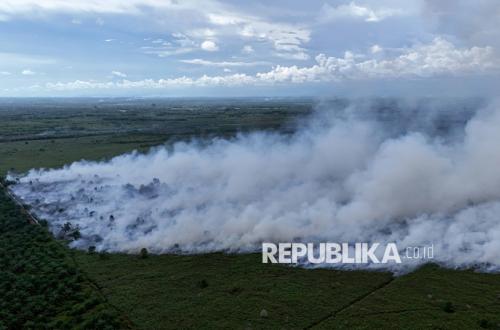 Les incendies de forêt et de terres s'étendent dans l'ouest d'Aceh, 19 hectares de terres brûlés