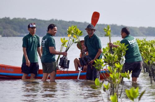 La banque suit le développement des plants dans le cadre de son initiative environnementale