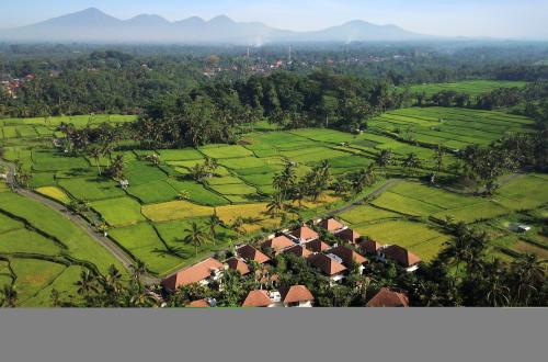 Bali interdit les courses à pied sans autorisation suite à une affaire de communauté d'expatriés présumée raciste