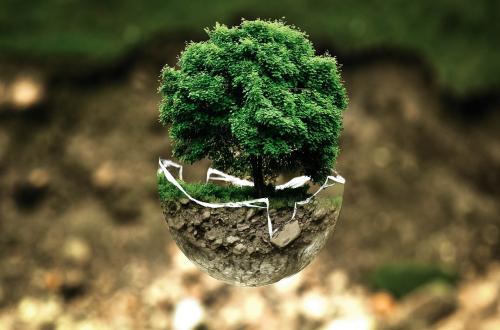 From Green Claims to Green Capability