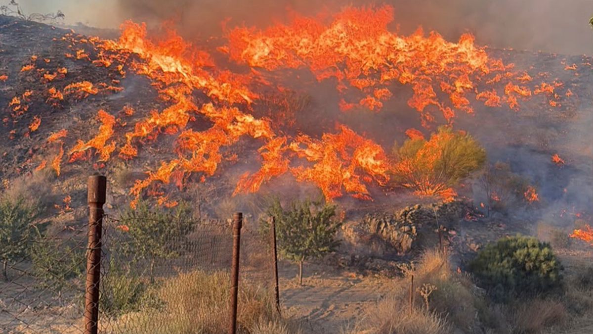 Six dead in a forest fire in Los Gallardos Almería