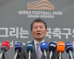 Chung Mong-gyu resigns as national football chief