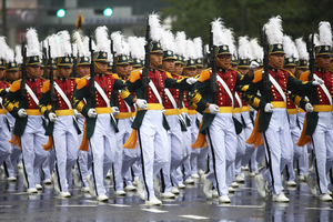 Ruling party, govt. set for military academy merger