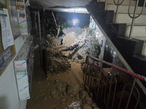 Southeastern Korea hit by nearly 800 mm of rain, floods and landslides