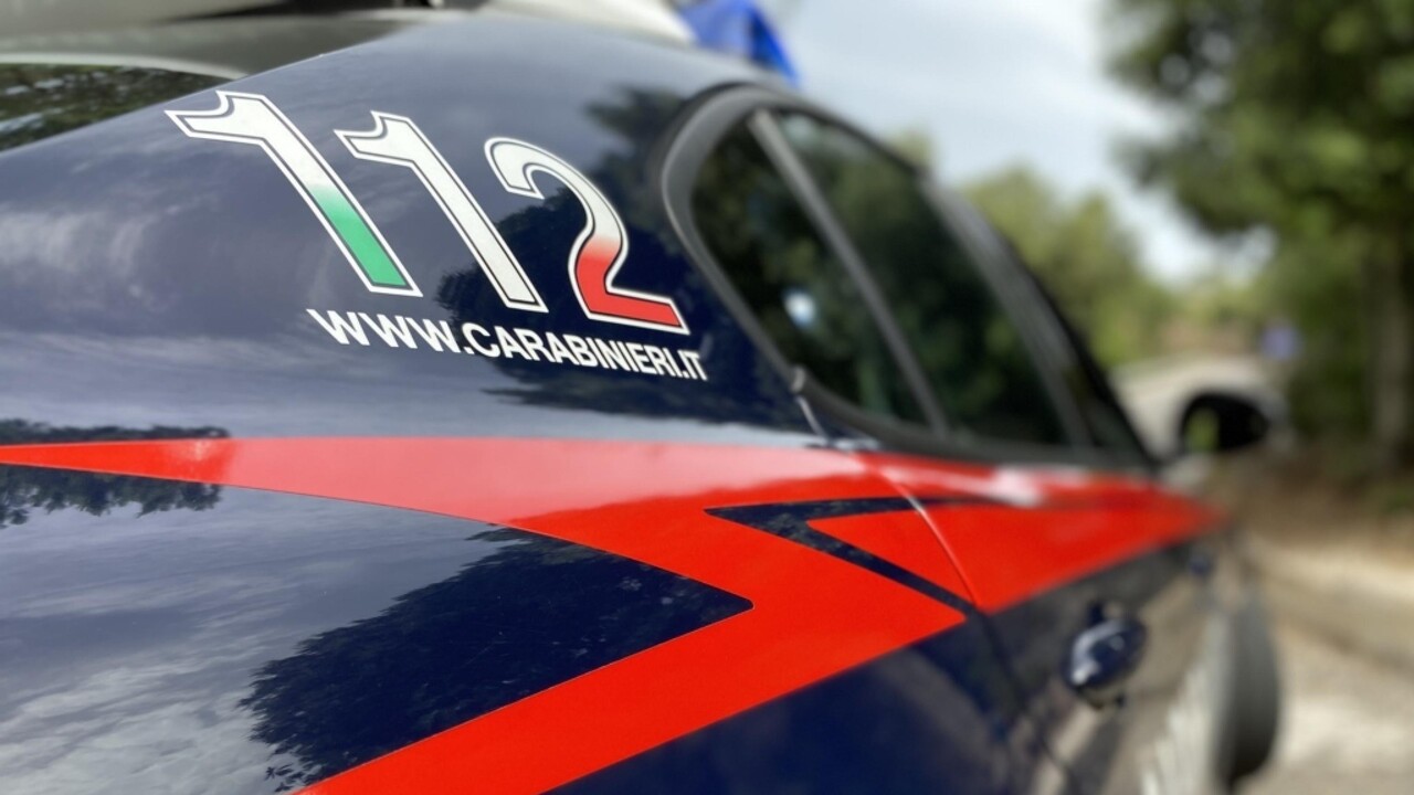 ANSA - Cronaca