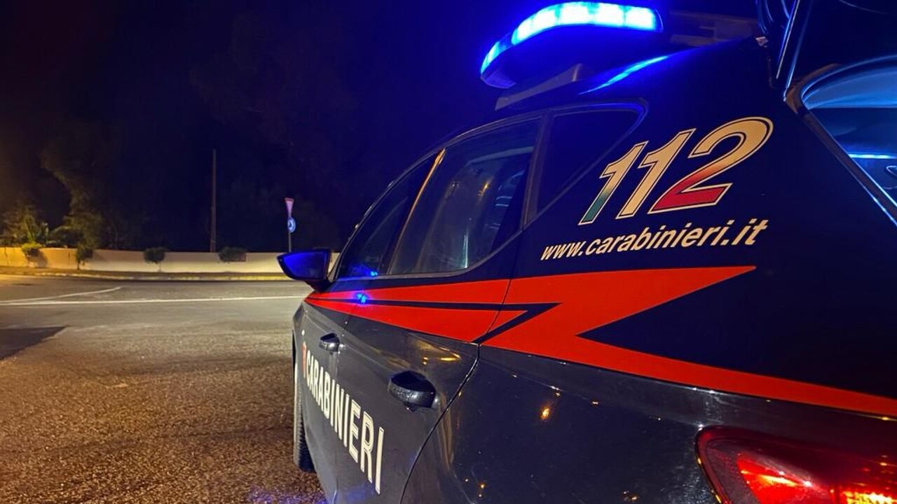 ANSA - Cronaca