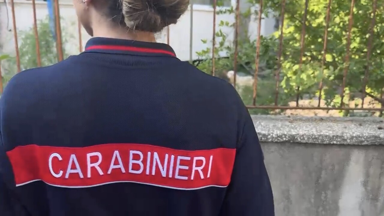 ANSA - Cronaca