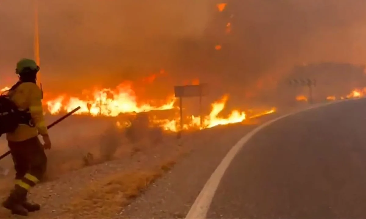 Forest fire leaves at least 11 dead in Spain