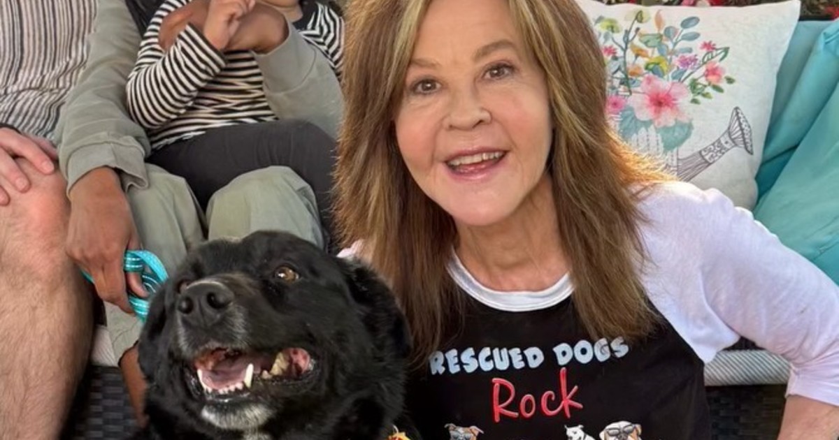 The bad moment of Linda Blair, star of "The Exorcist": she was inspected for illegal breeding in a field with 200 dogs