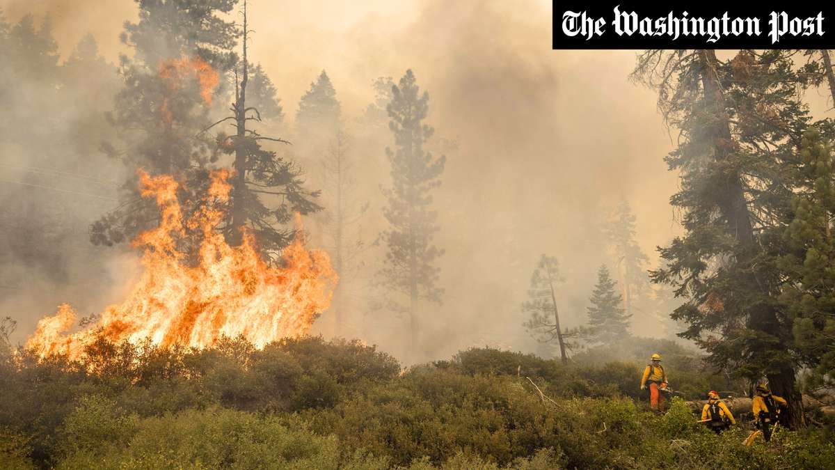 The fire paradox: Why rapid extinguishing fuels the next mega-fires