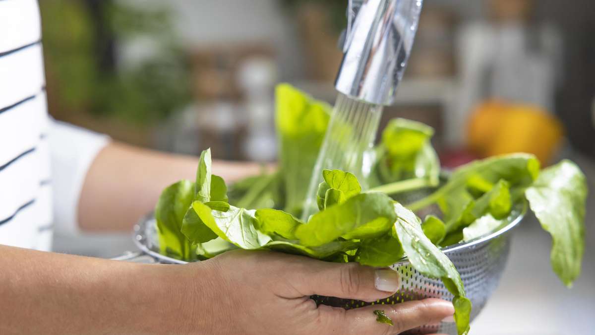 Muchos lavar la ensalada incorrectamente – y perder vitaminas valiosas sin darse cuenta