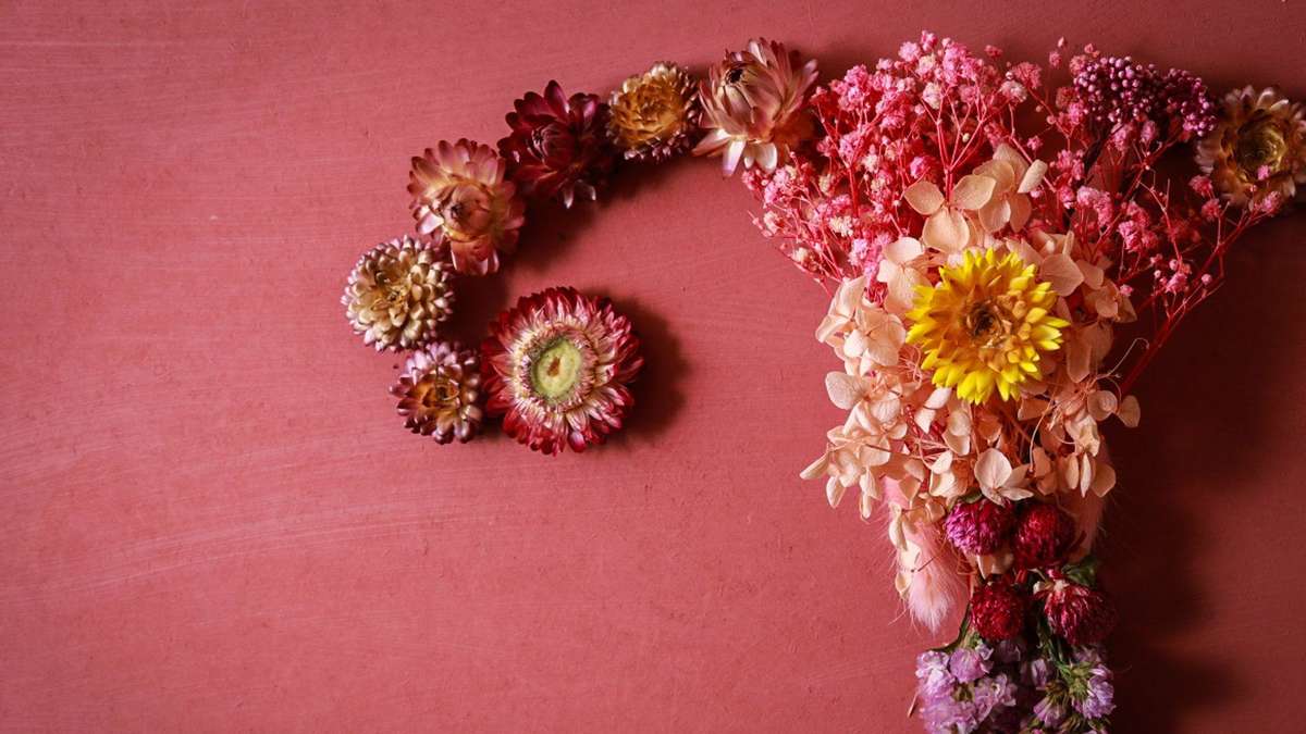The 4 Stages of Menopause: When They Start and What Happens in the Body