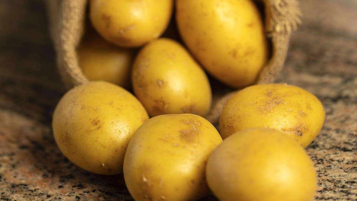 Resistant strength: Why cold potatoes, rice and pasta are suddenly considered healthier