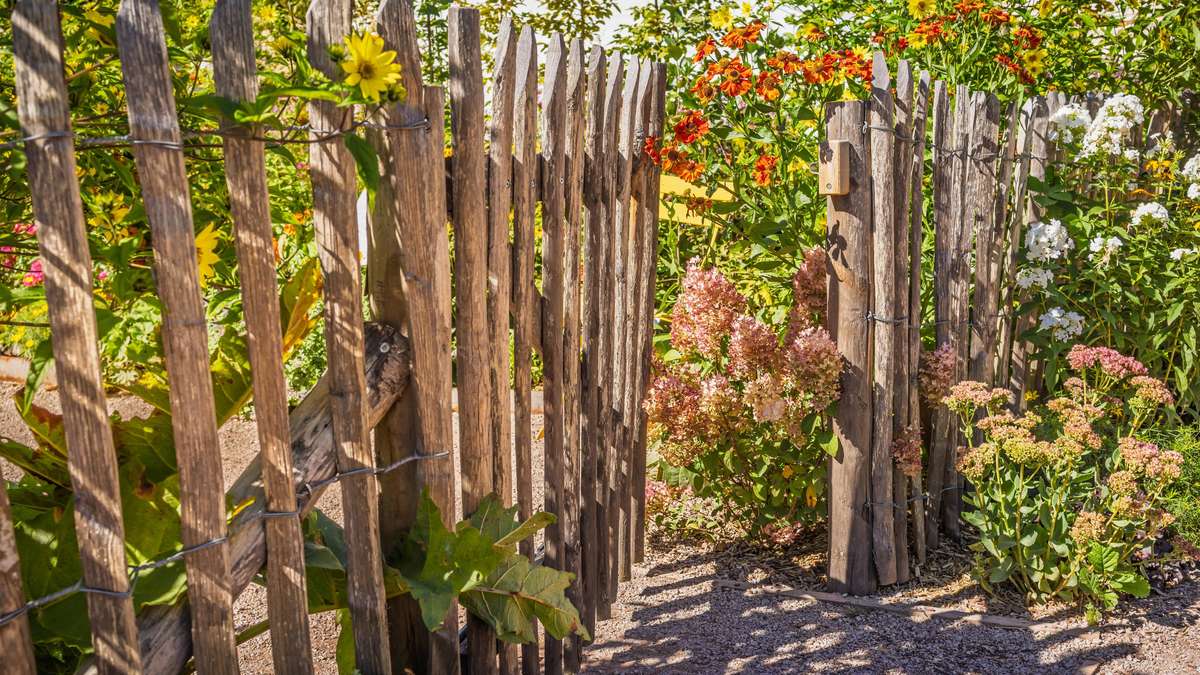 Acheter une clôture en bois ou la construire vous-même: Ce que vous devez savoir sur les types de bois, les fondations et les soins