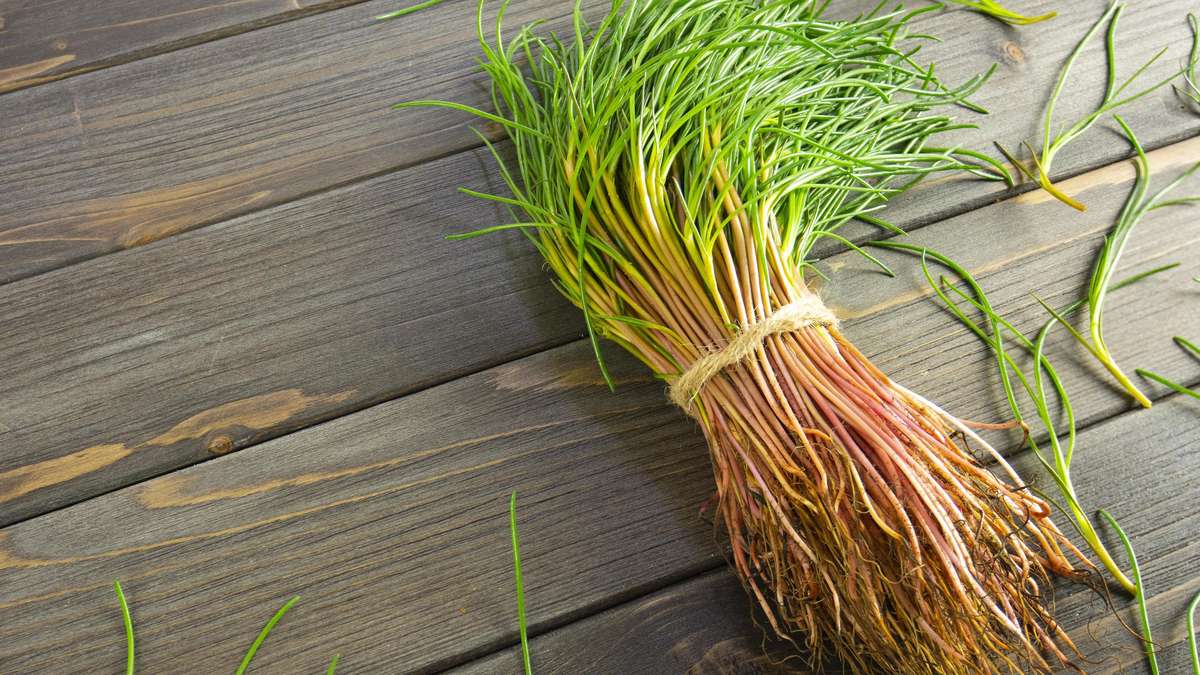 Hardly watering, yet harvesting: These 10 vegetables defy the summer heat