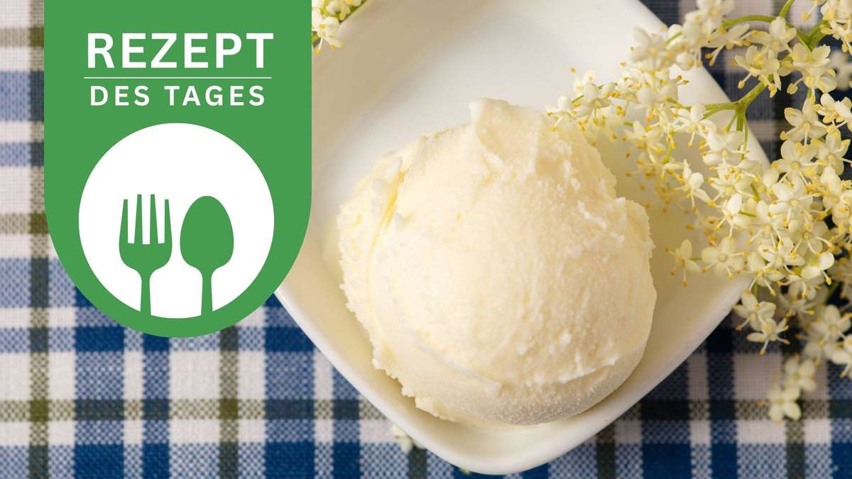 Refreshing elderberry ice cream as a summer hit – just make your own seasonal dessert