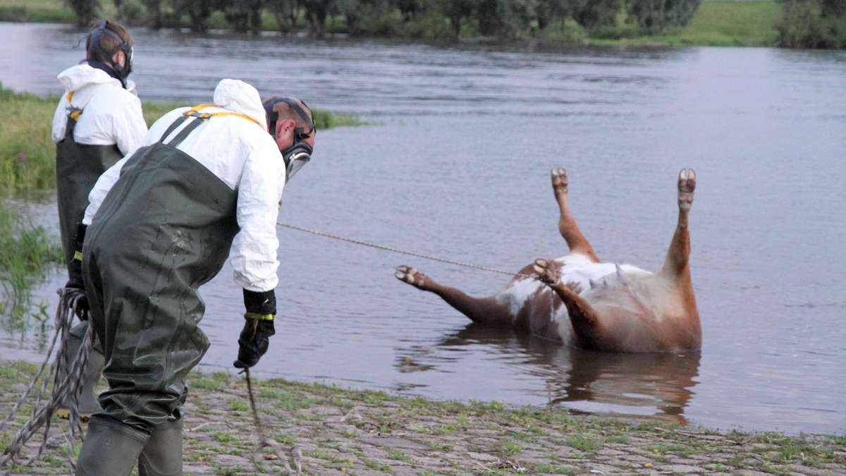 Ticking time bomb: Ukraine accuses Russia of perfidious “bioweapons” tactics in occupied territories