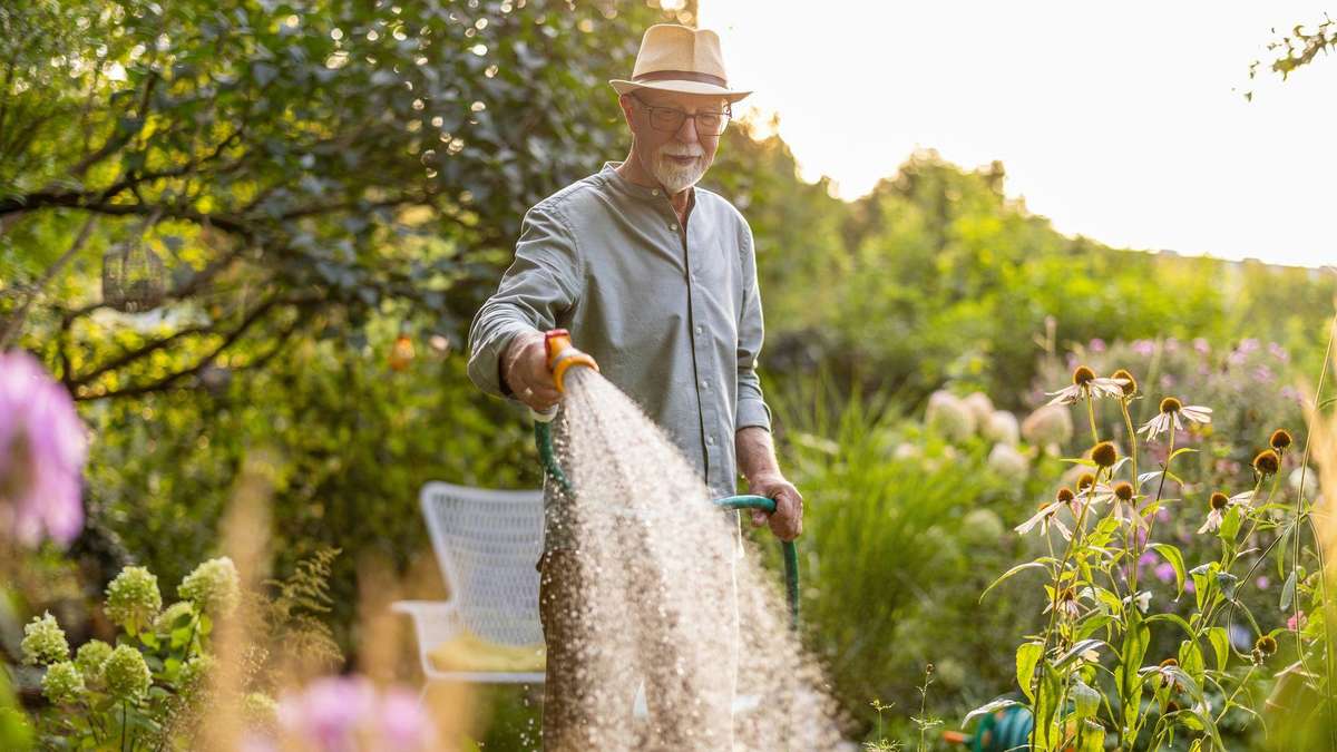 Up to 100,000 euros fine: municipalities respond to water scarcity with irrigation bans