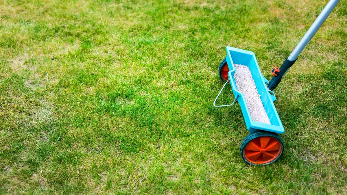 Just Don't Fertilize Now: The Most Common Garden Mistakes in Summer—and How to Avoid Them