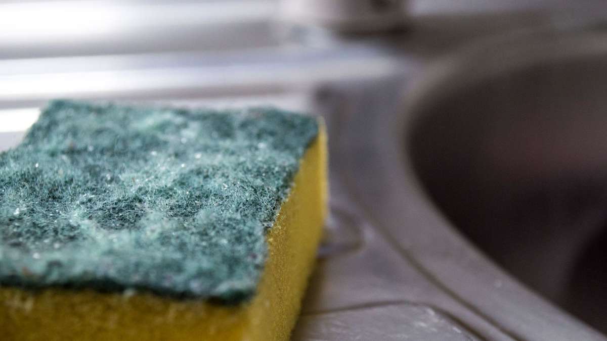 New study highlights health risk of kitchen sponges