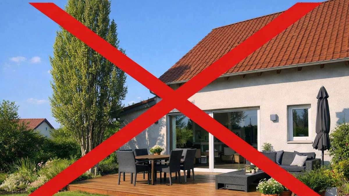 Trees you don’t want near your house – how roots can damage the foundation
