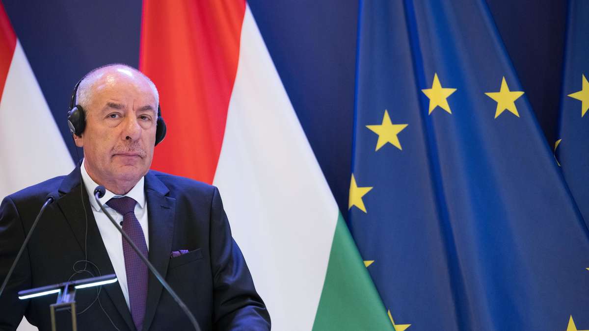 Orban confidant to go: Hungary's parliament clears way for the removal of the President